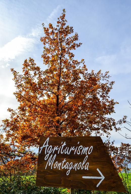 Agriturismo Montagnola Abruzzo Villa Casalanguida Exterior foto
